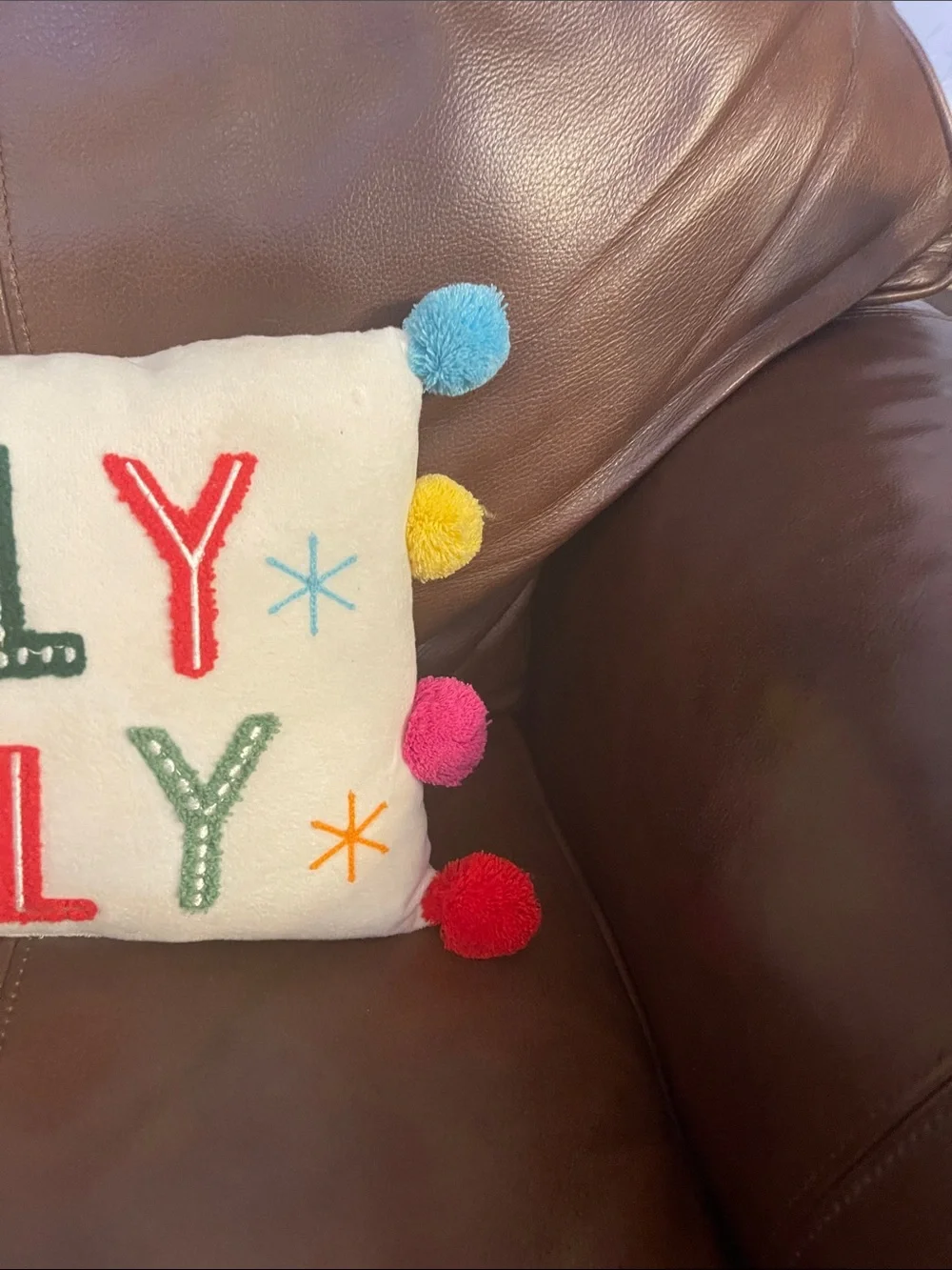Holly Jolly Embroidered Holiday Pillow - Multicolor